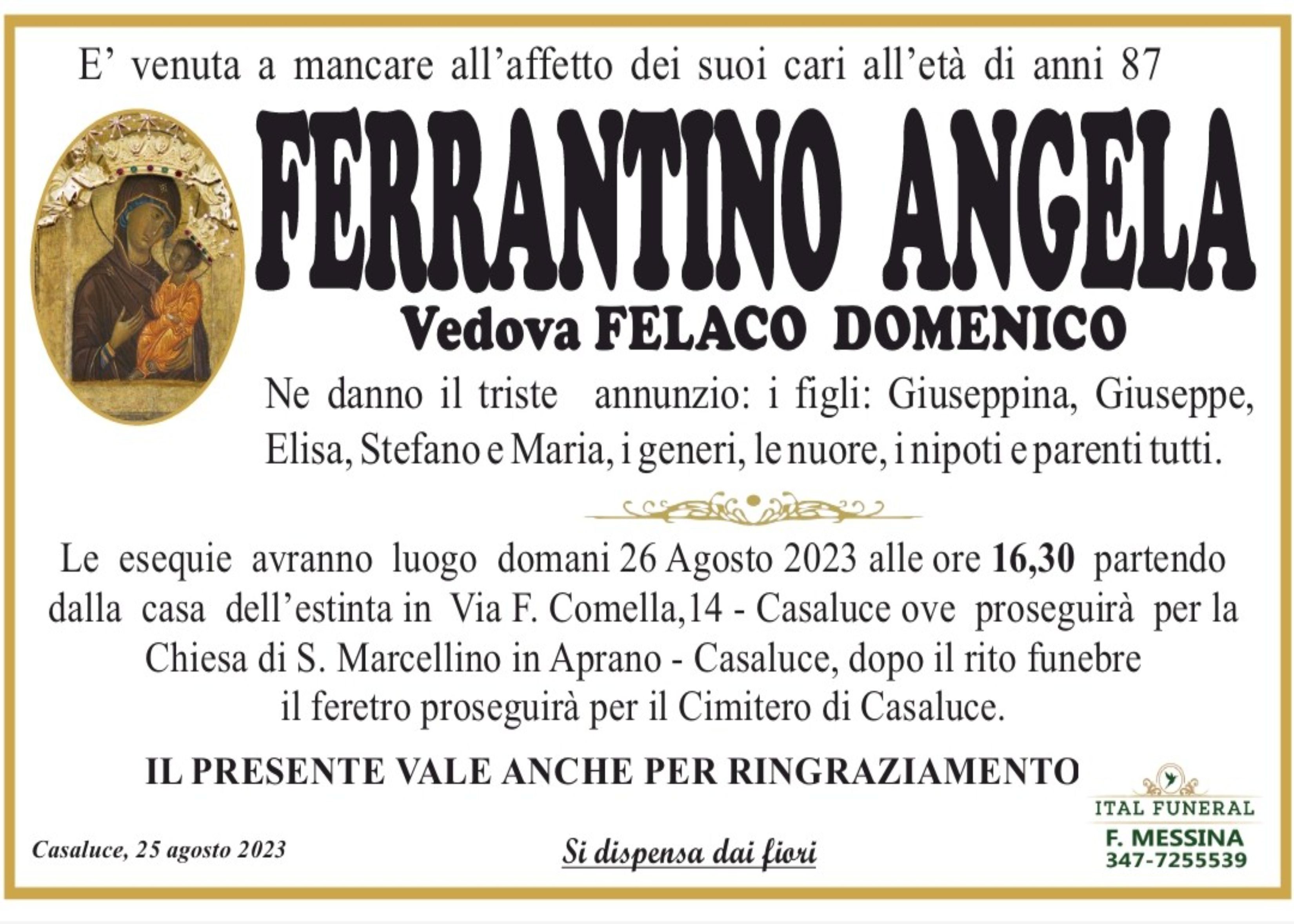 Angela Ferrantino