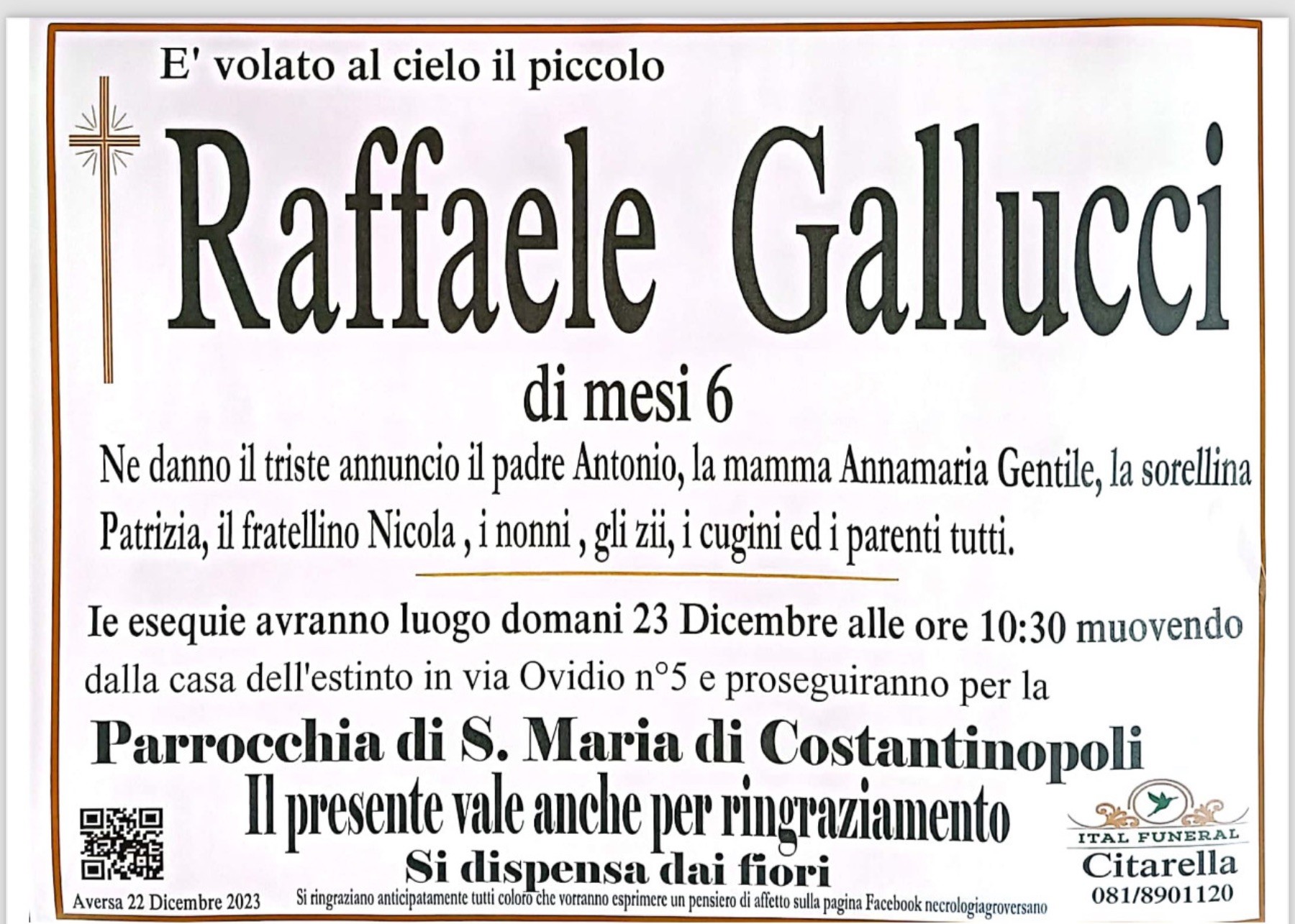 Raffaele Gallucci