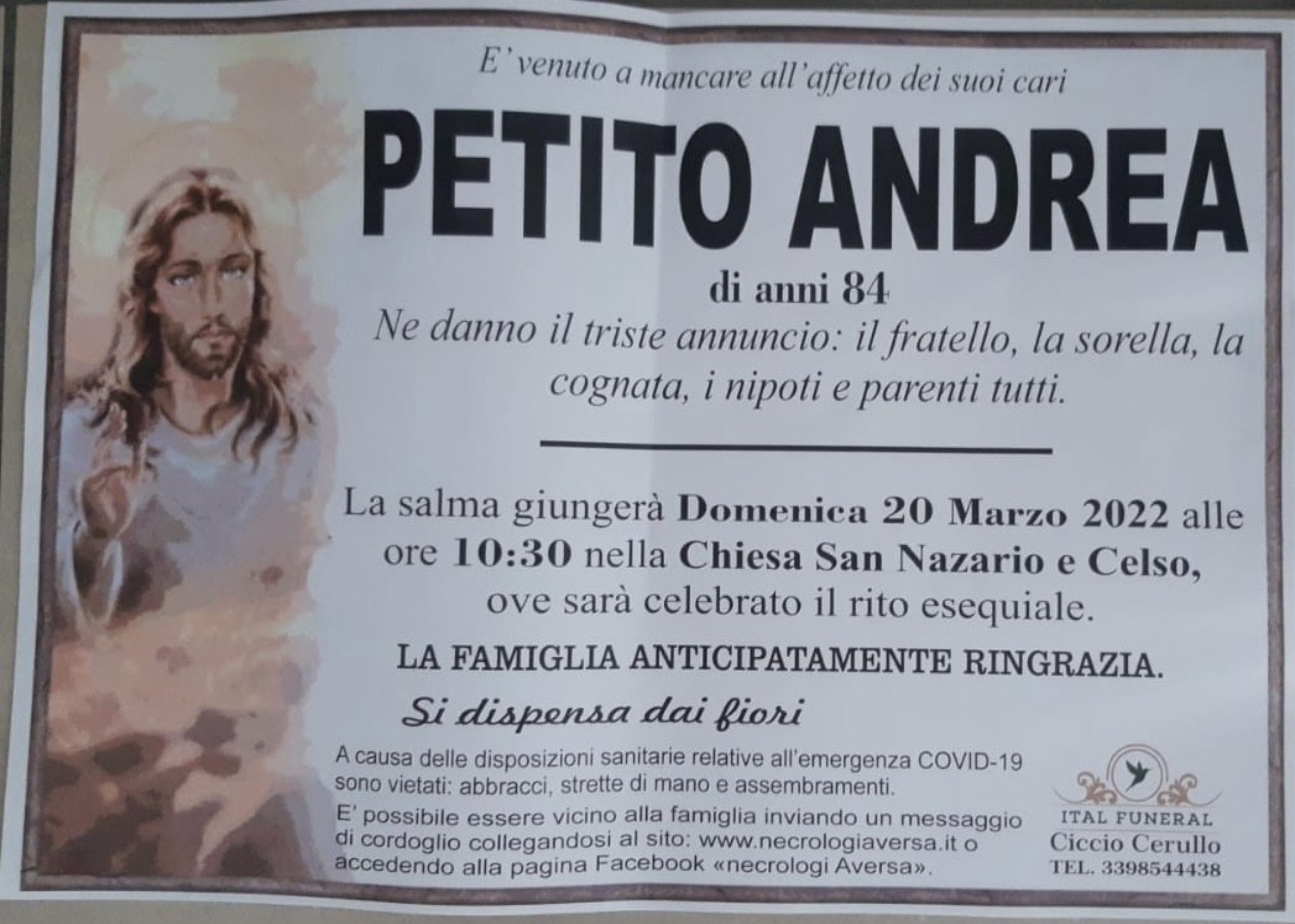 Andrea Petito
